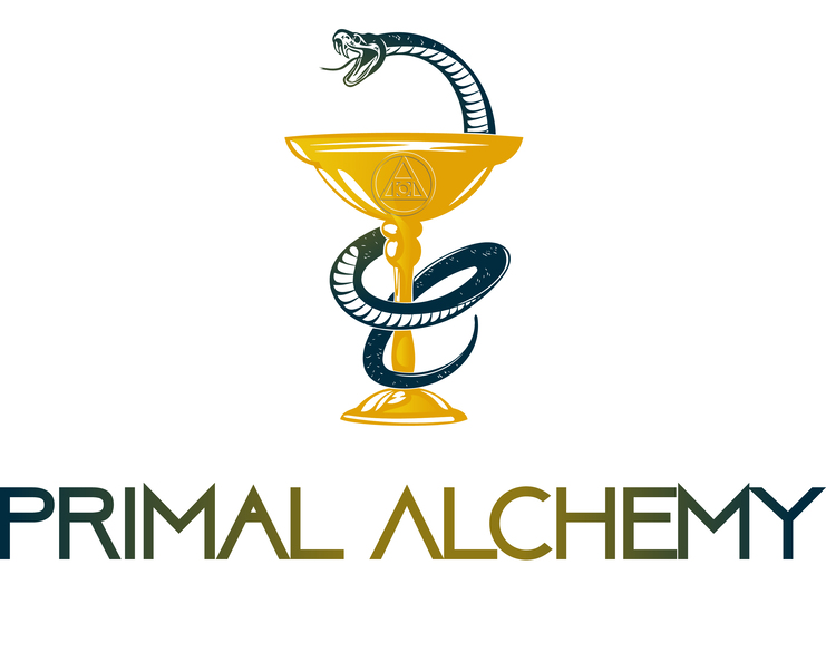 big logo